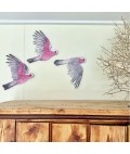 Bridget Farmer | Wall Decorations | Galahs | Set of 3
